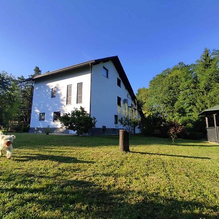 Studio Apartman Gorica Ogulin Exterior foto