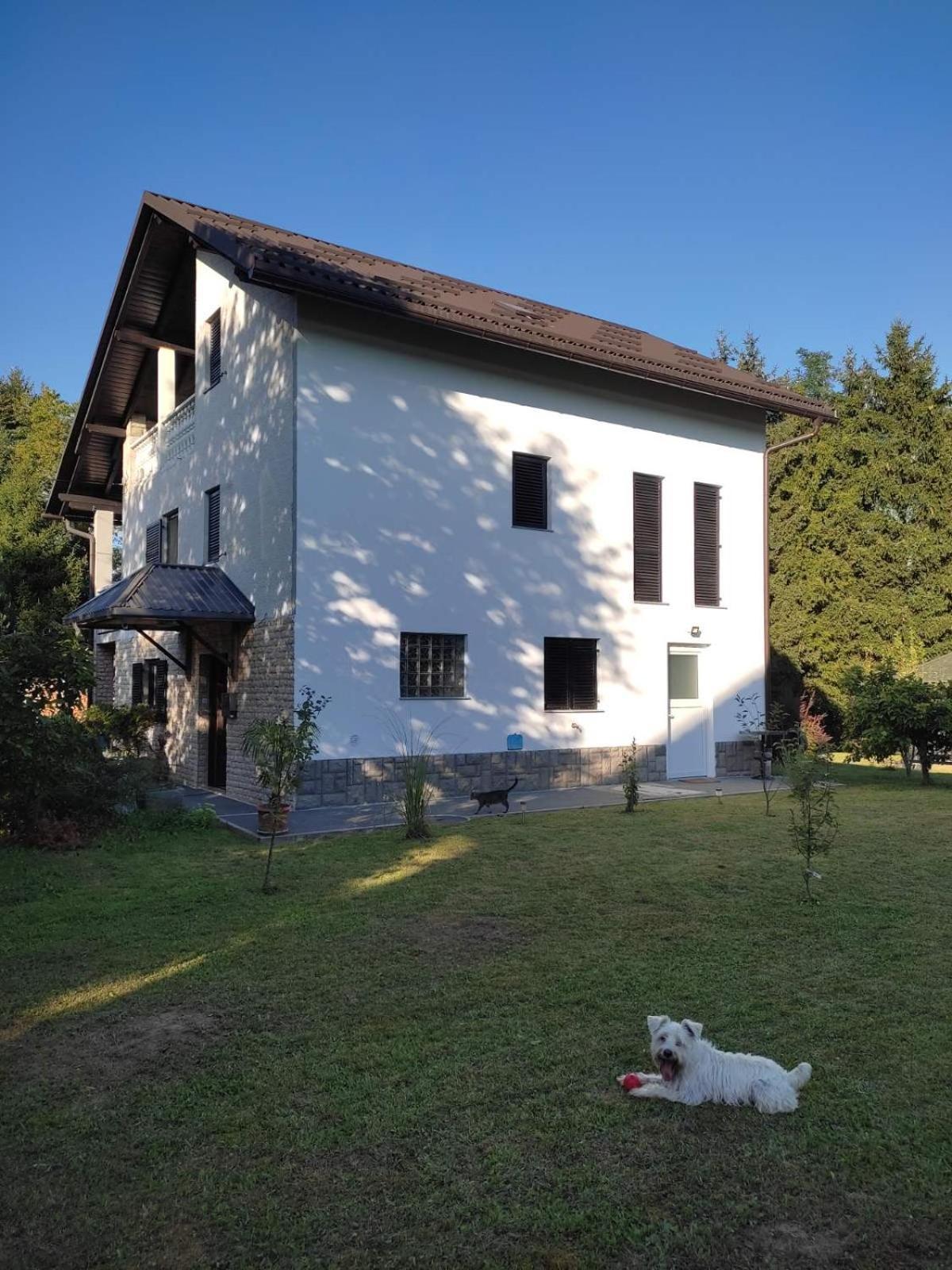 Studio Apartman Gorica Ogulin Exterior foto